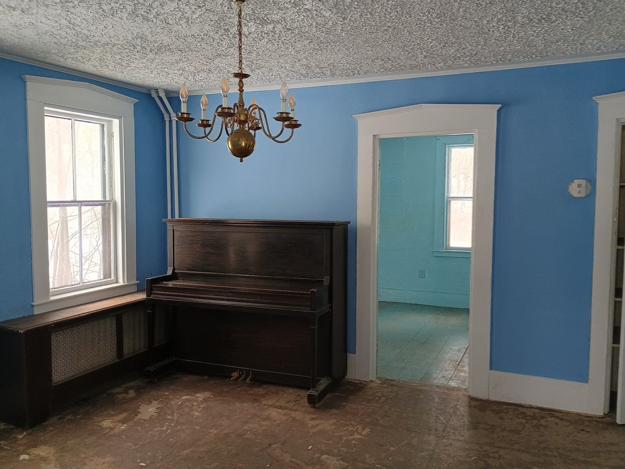 9 Olive Street Property Photo 11