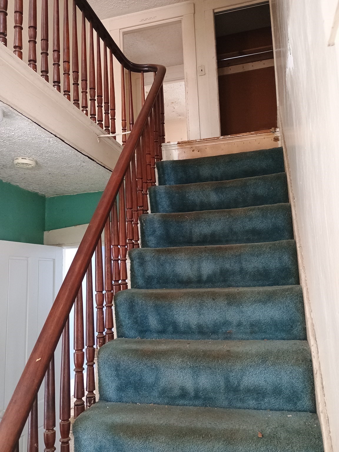 9 Olive Street Property Photo 14