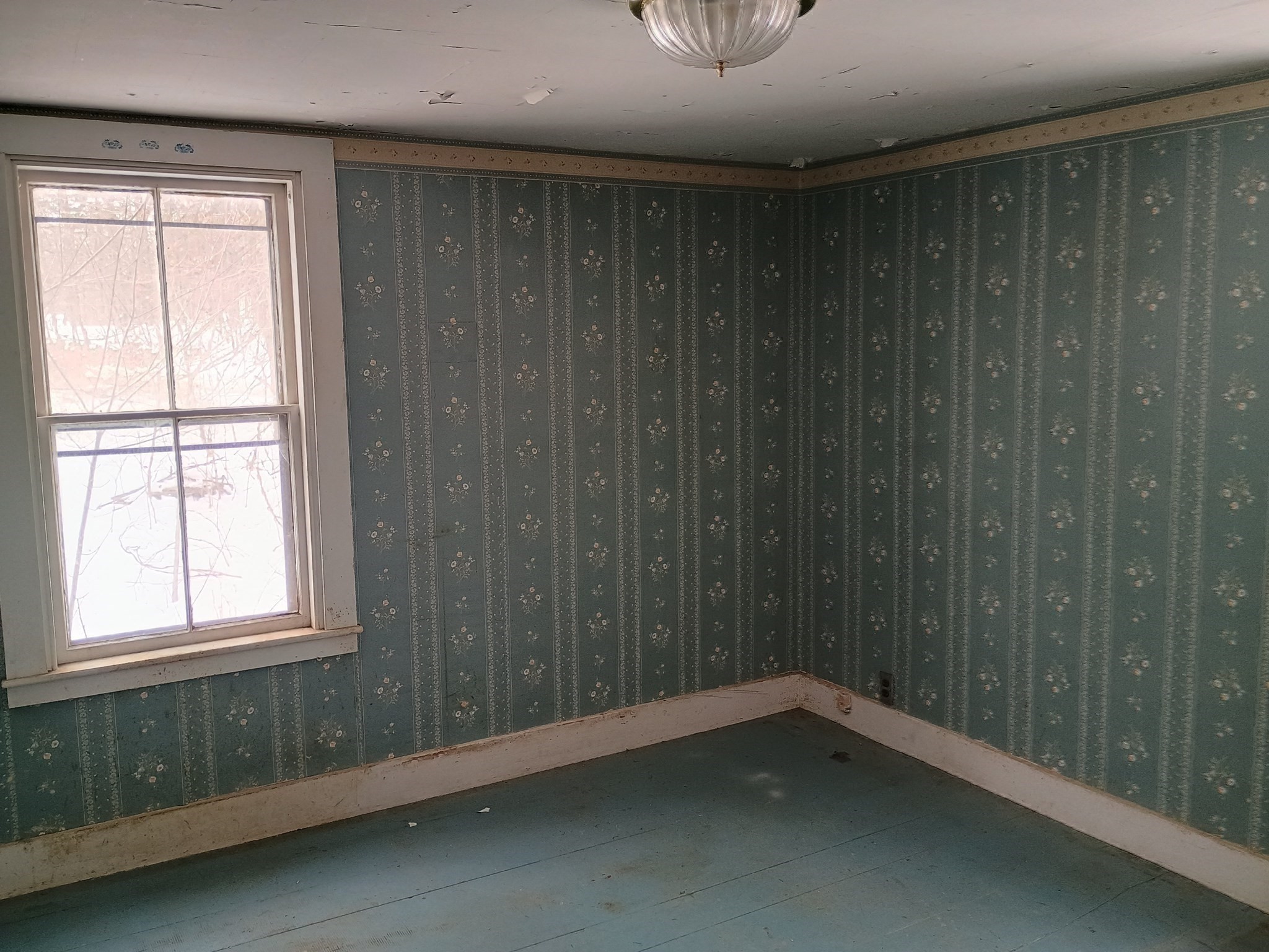 9 Olive Street Property Photo 17