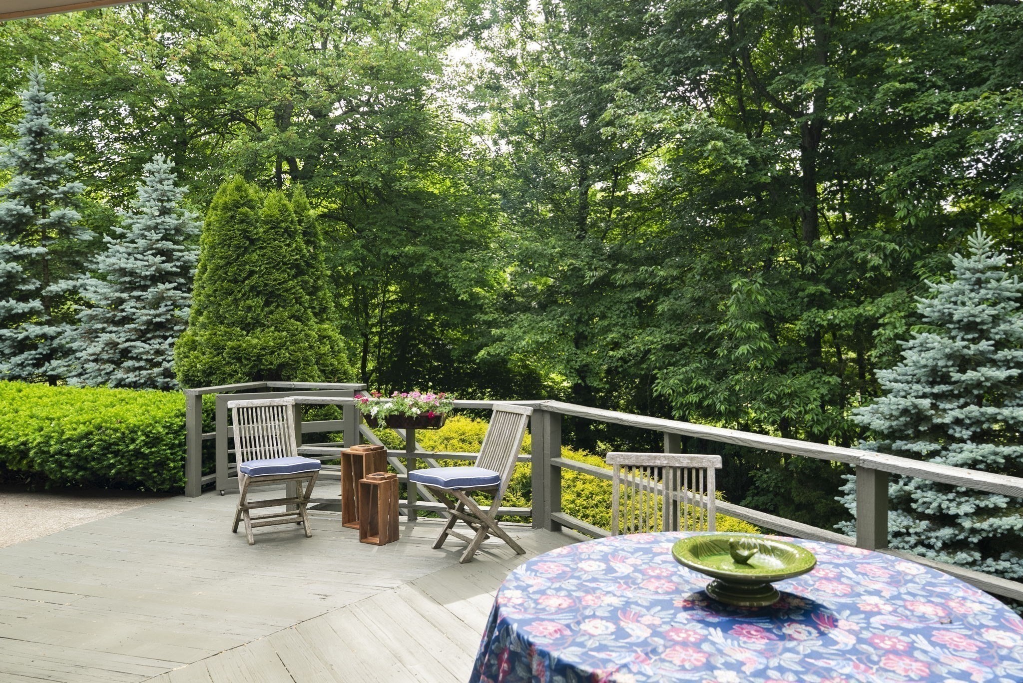 550 Wolf Swamp Property Photo 34