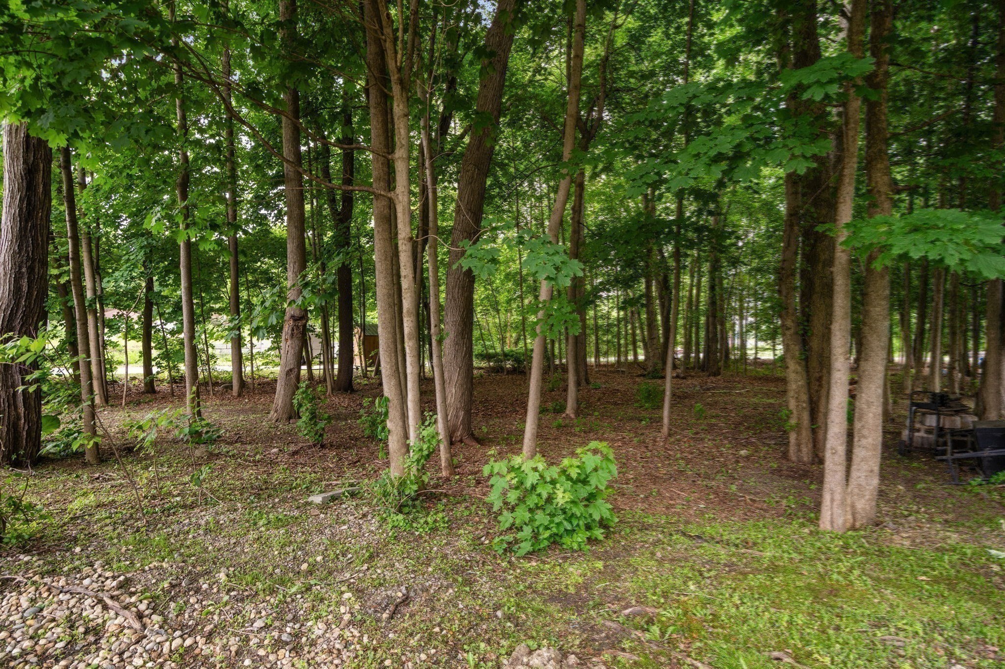 18 Ivy Rd Property Photo 29