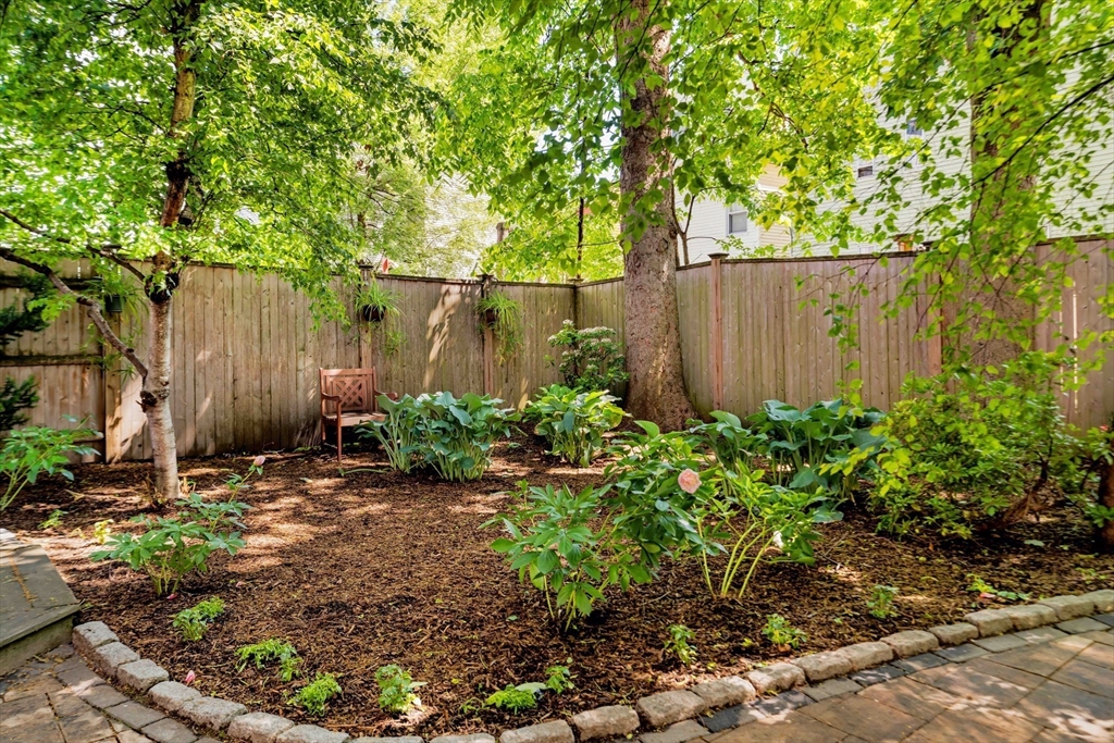 87 Kinnaird St. # 2 Property Photo 30