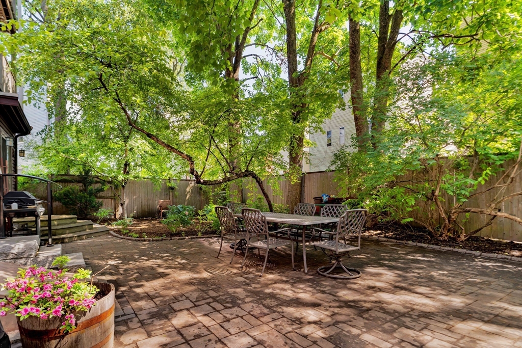 87 Kinnaird St. # 2 Property Photo 31