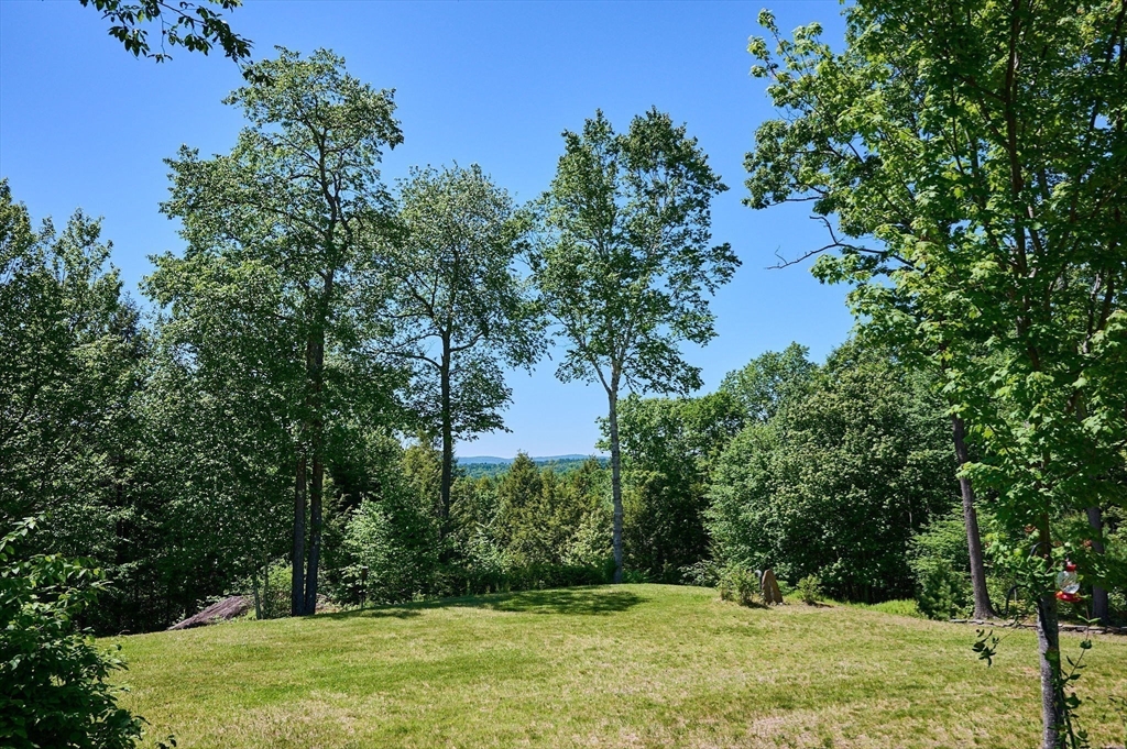 82 Willcutt Road Property Photo 6