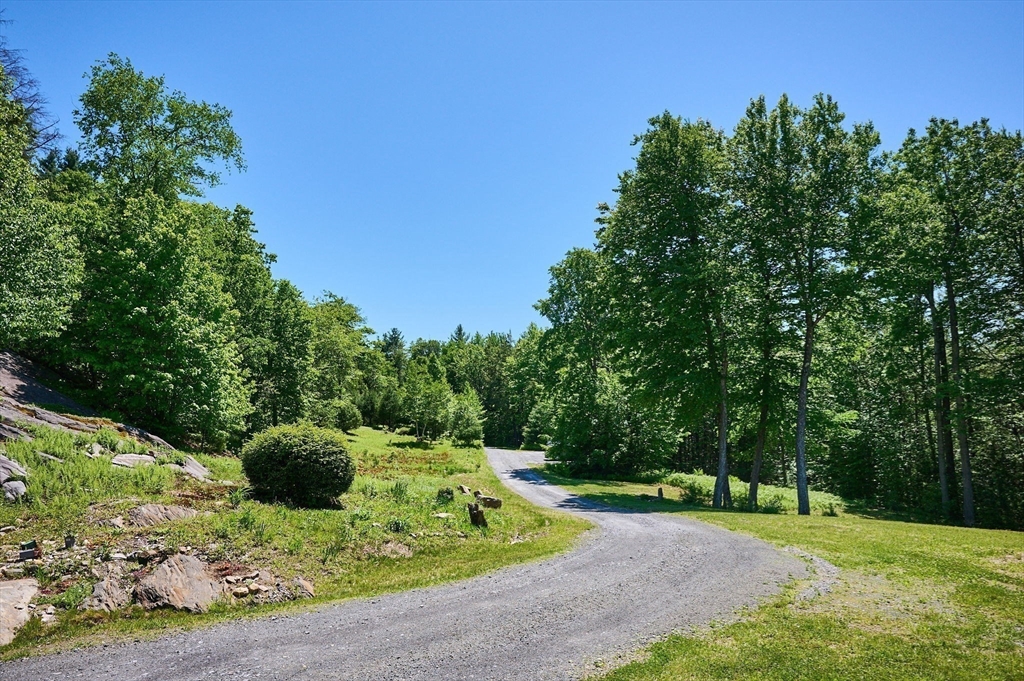 82 Willcutt Road Property Photo 8