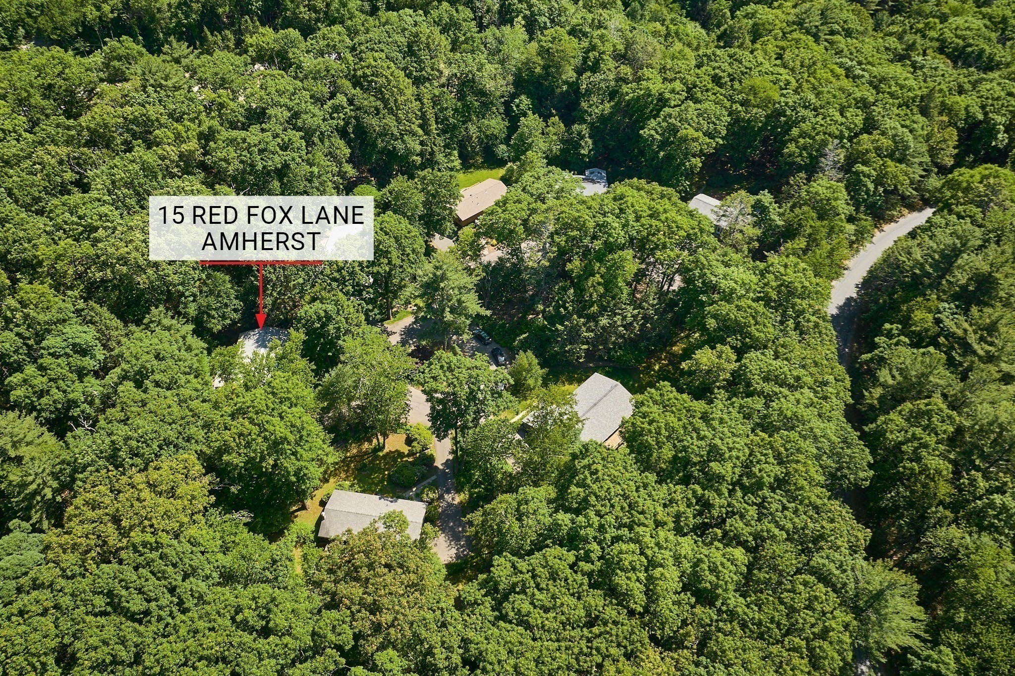 15 Red Fox Ln Property Photo 32