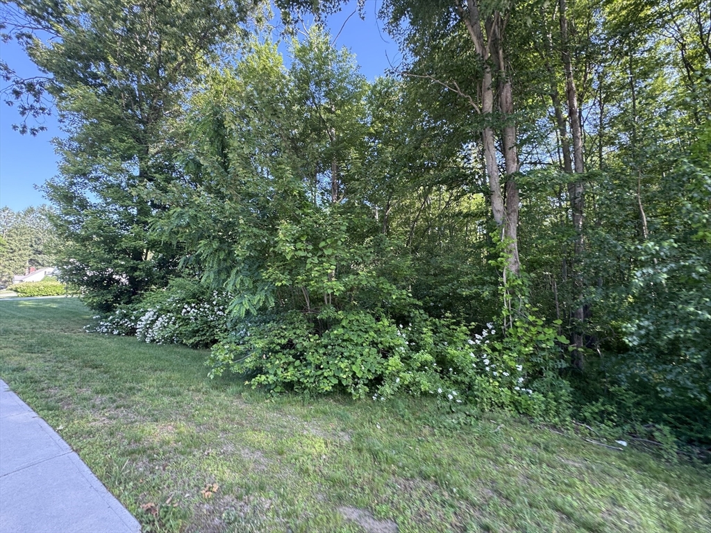 36 Lake Parkway Property Photo 7