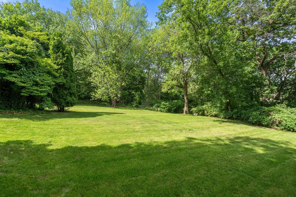 12 Ruby Rd Property Photo 30