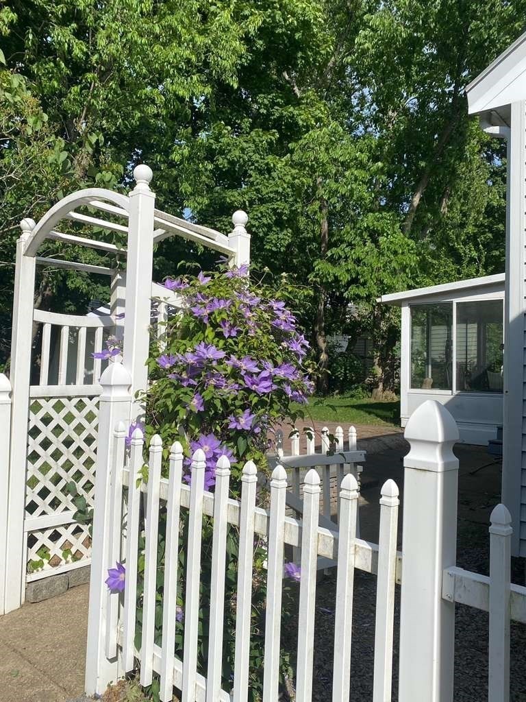 41 Bronx Rd Property Photo 27
