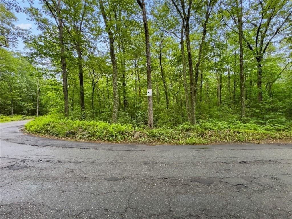 229 Lot 4 Reservoir Rd Property Photo 5
