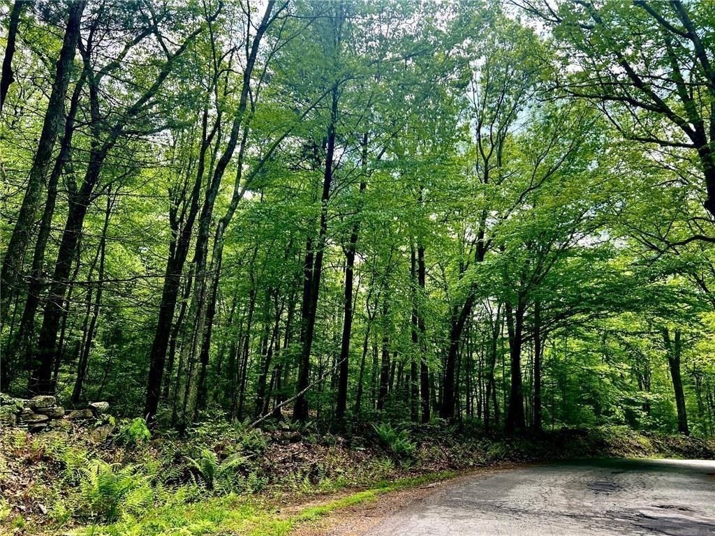 229 Lot 4 Reservoir Rd Property Photo 17