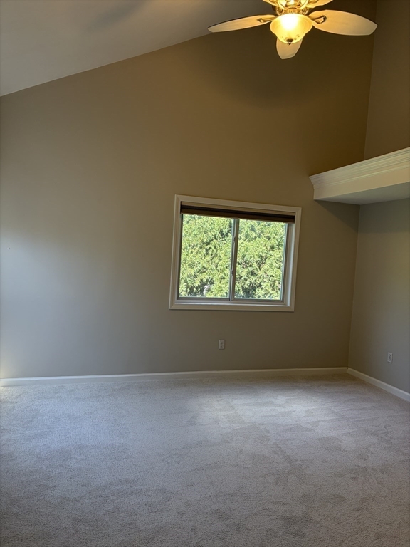 33 Half Crown Cir # 33 Property Photo 32