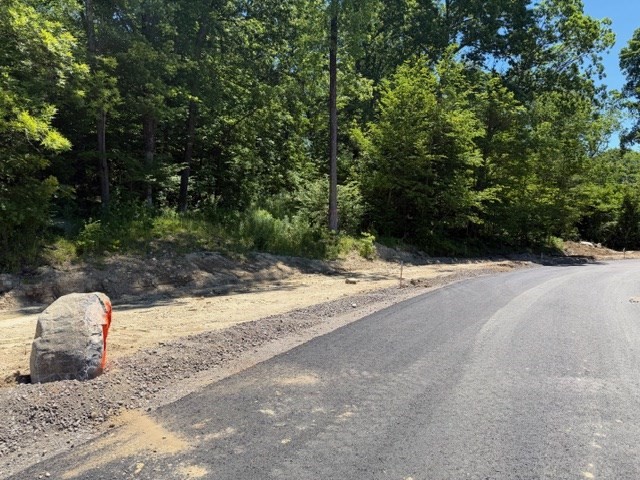 Lot 8 29 Simcha Road Property Photo 3
