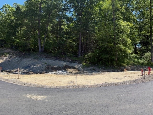Lot 9 31 Simcha Road Property Photo 1