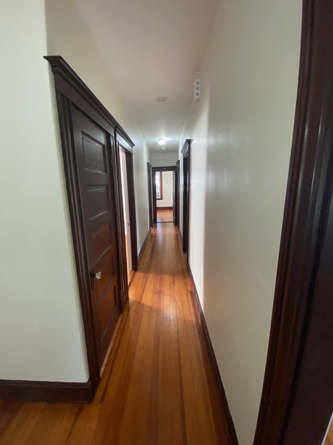 14 Welton Road Property Photo 13