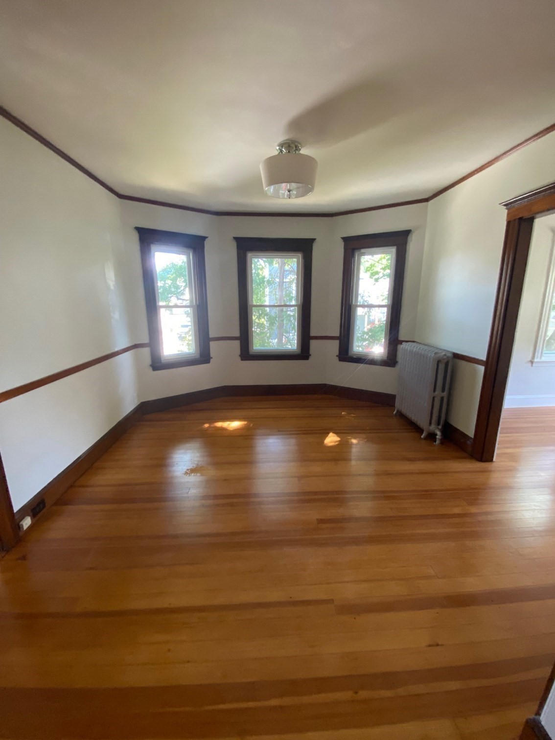 14 Welton Road Property Photo 23