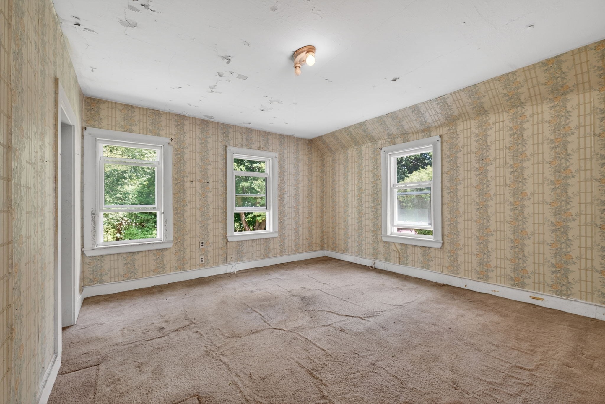 13 Percy Ave Property Photo 11