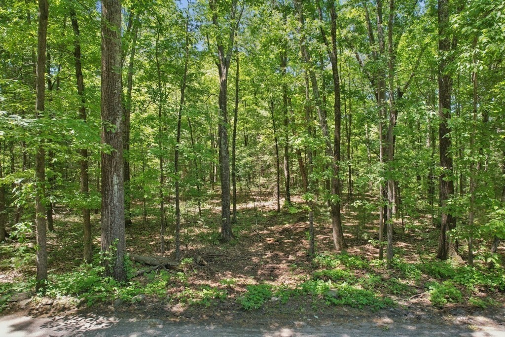 103 Green Street Property Photo 2