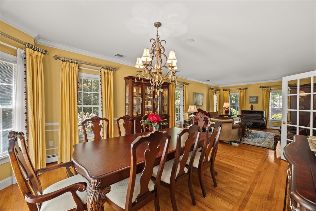 58 Shirley Road Property Photo 15