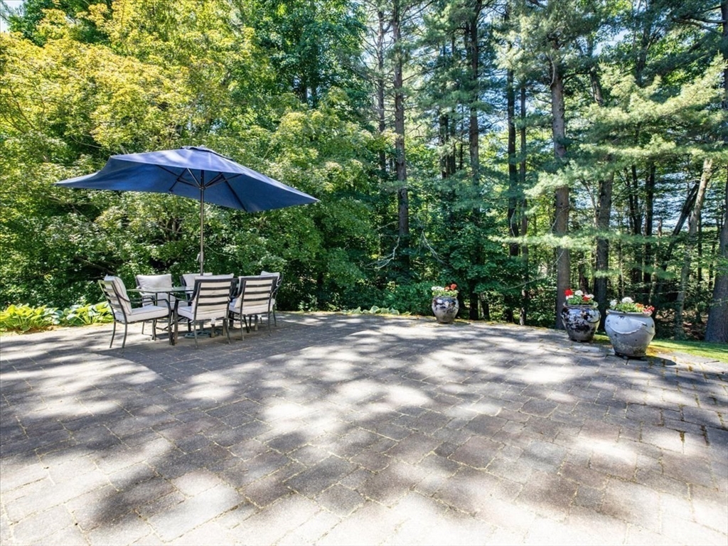 42 Birchtree Dr Property Photo 33