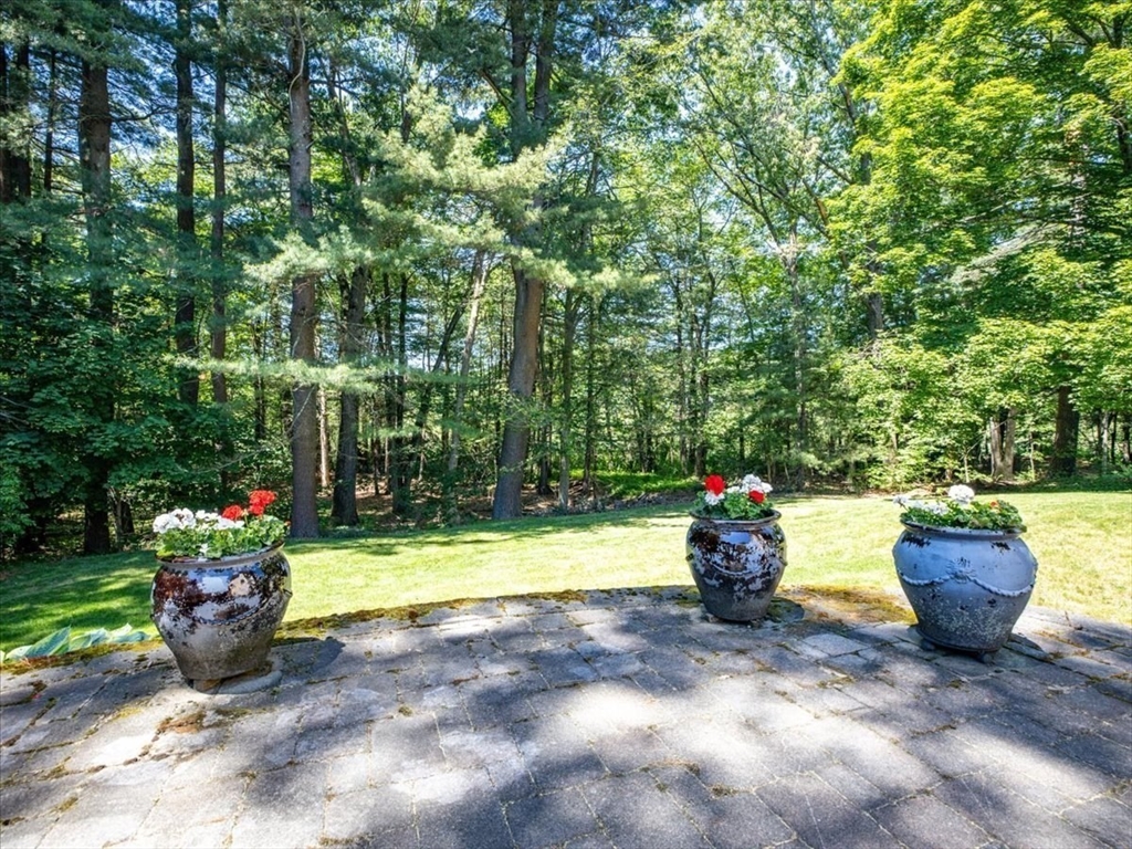 42 Birchtree Dr Property Photo 34