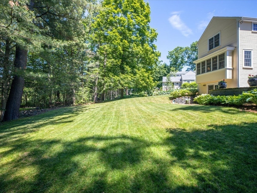 42 Birchtree Dr Property Photo 36