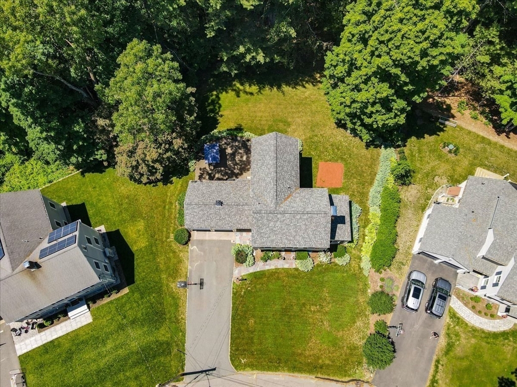 42 Birchtree Dr Property Photo 39