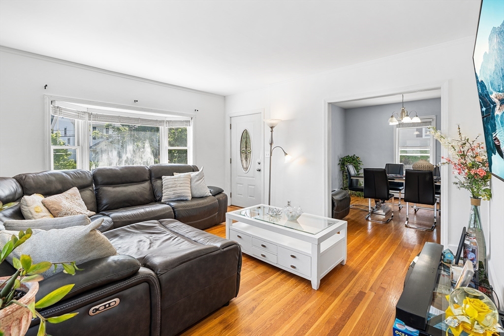 3 Fitz Road Property Photo 10