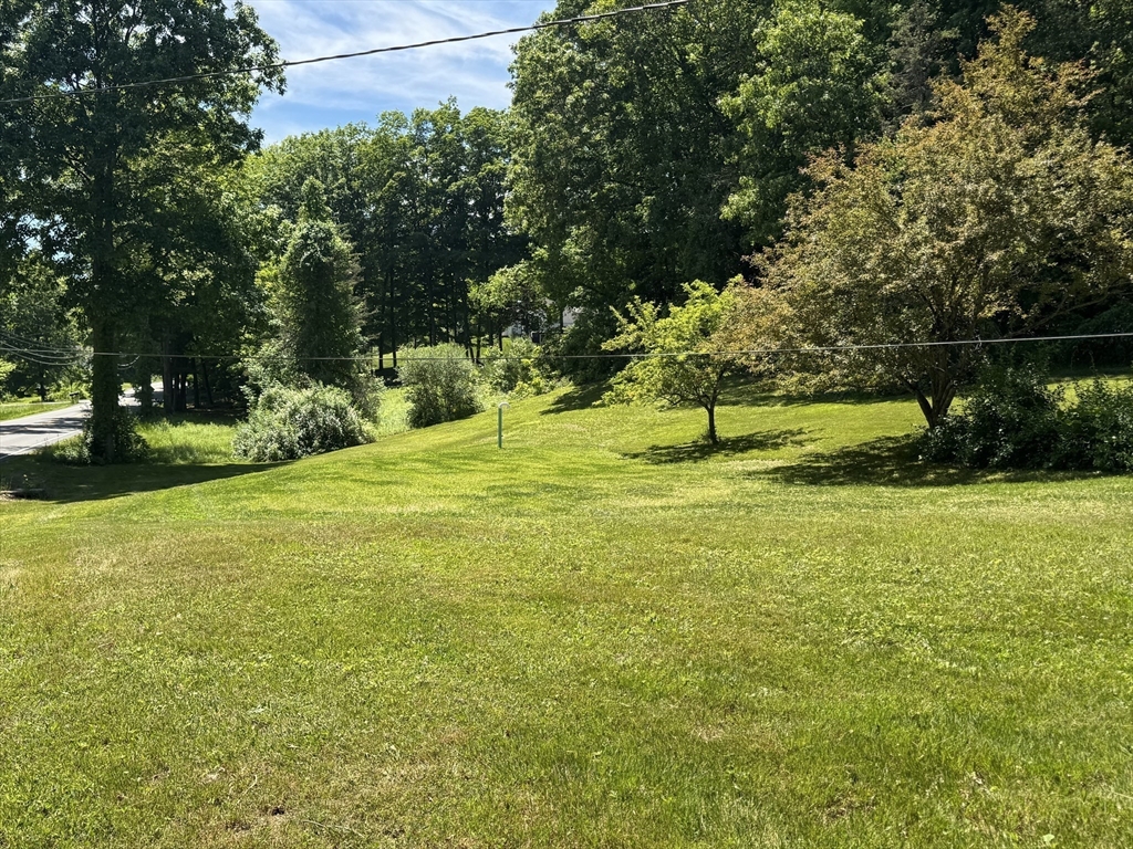 223 Main Rd Property Photo 27