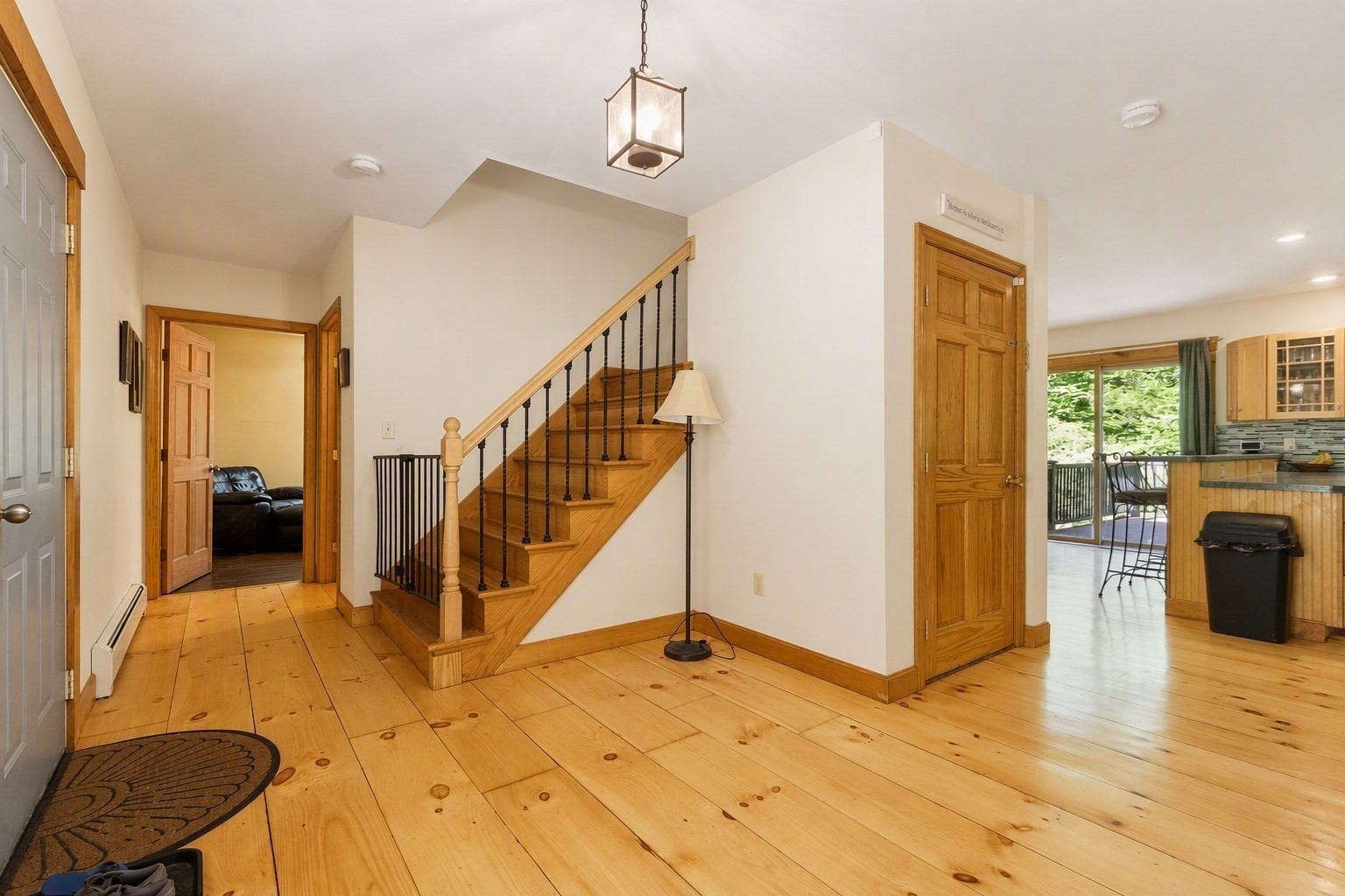 1132 Doe Valley Rd Property Photo 1