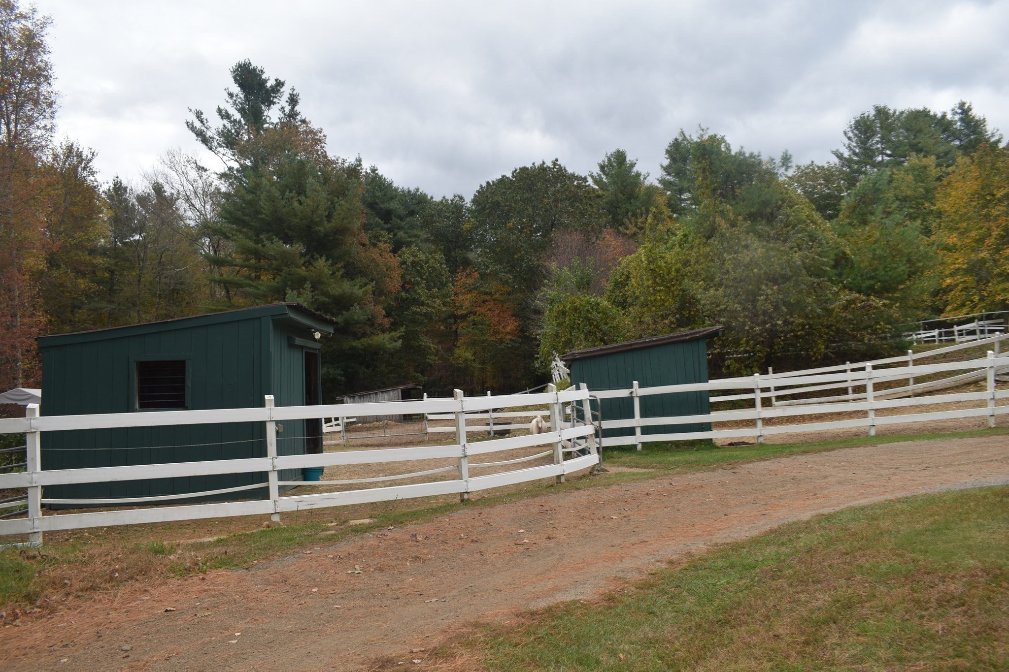 26 Mill Rd Property Photo 18
