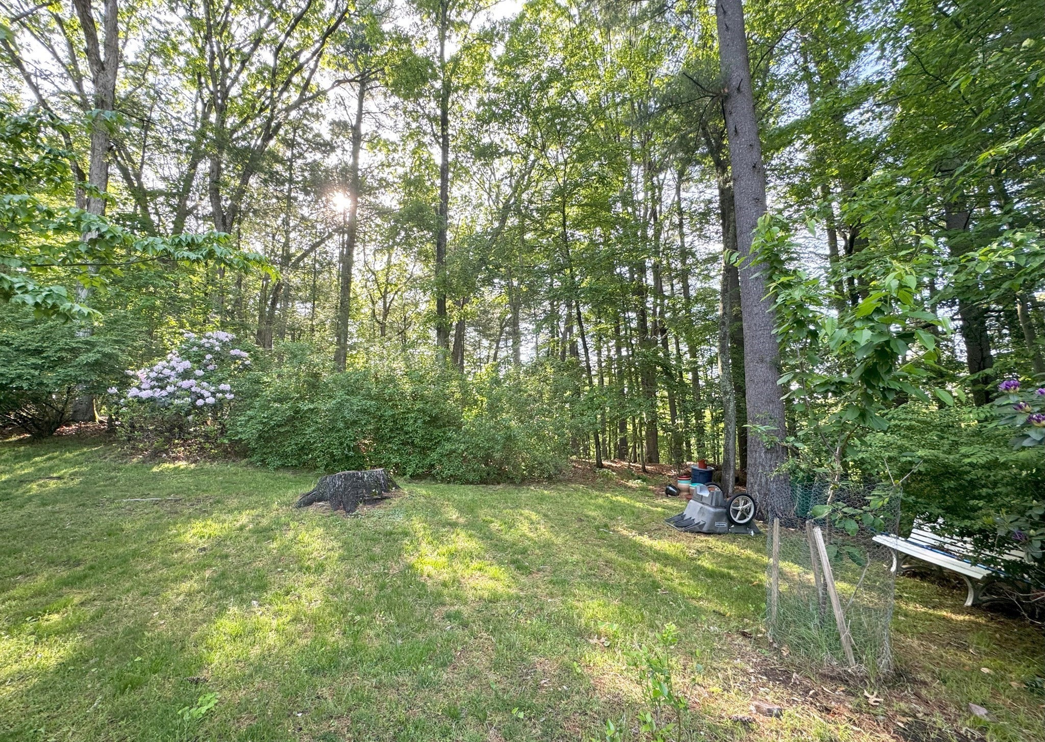 10 Meadowview Rd Property Photo 33