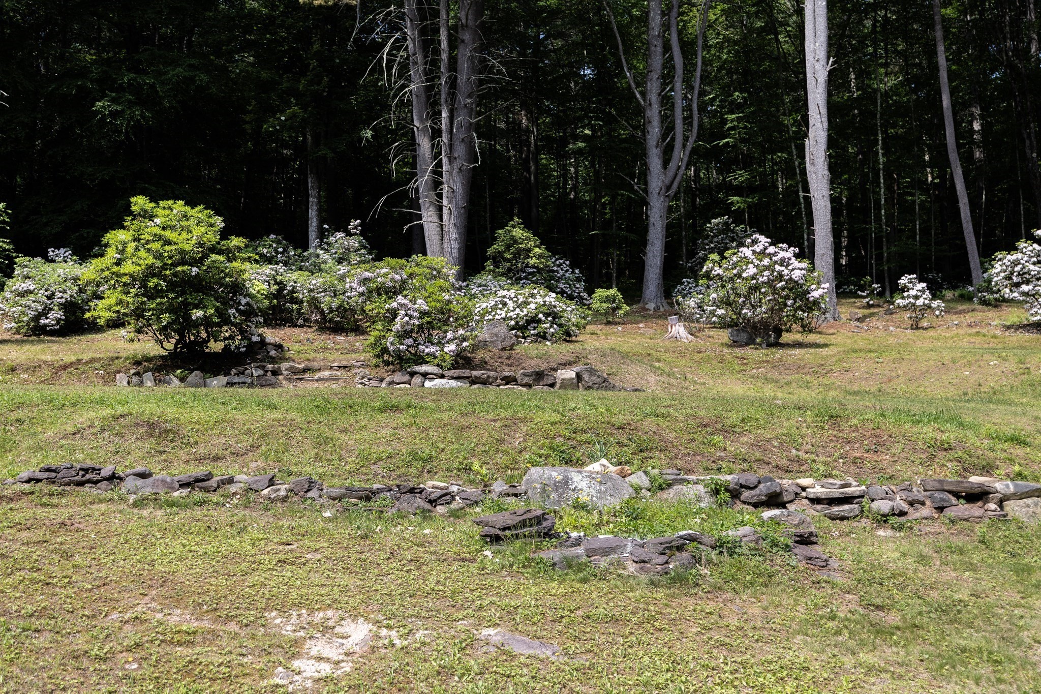 477 River Road Property Photo 8