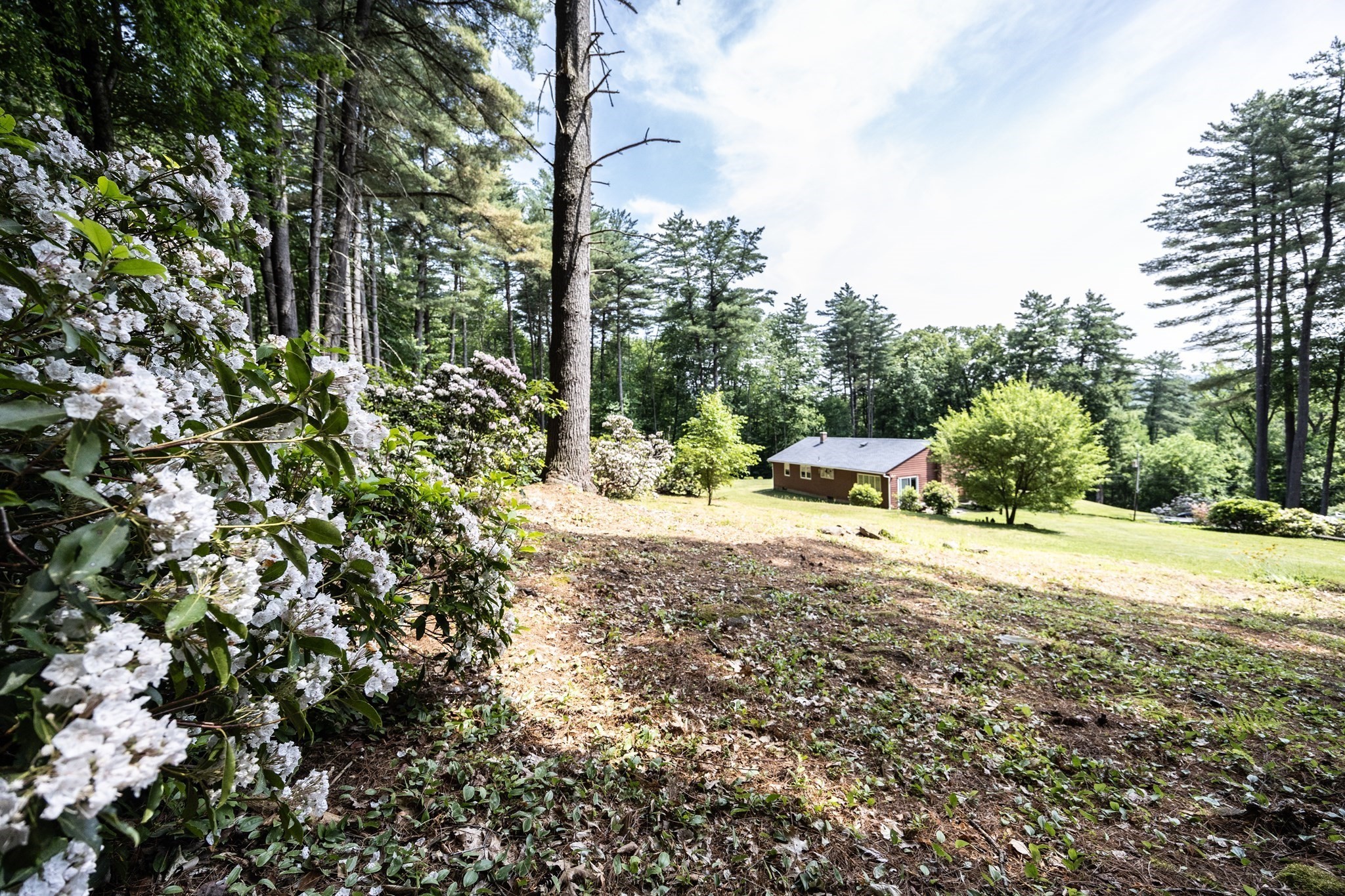 477 River Road Property Photo 10