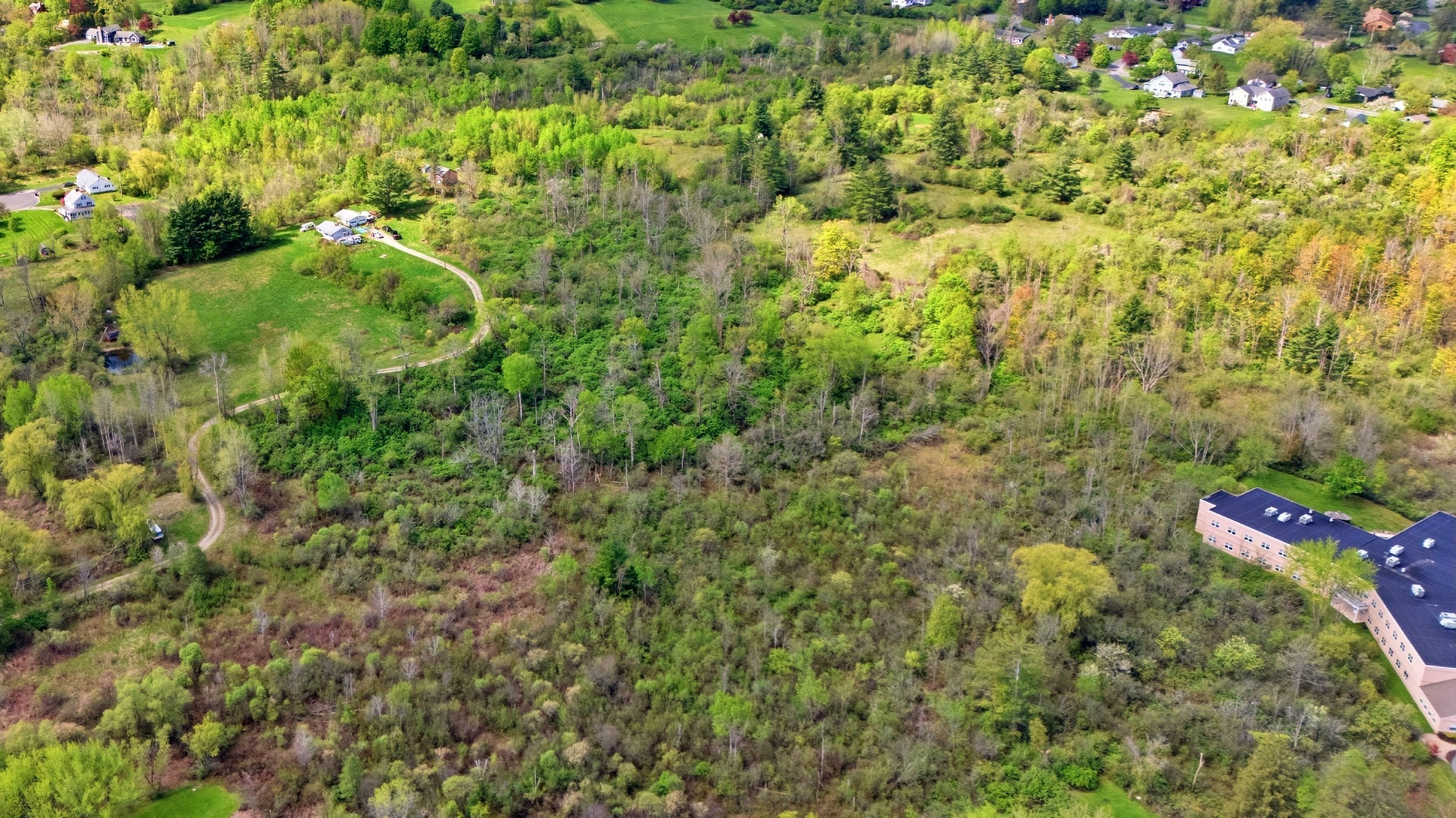 97 Luce Rd Property Photo 13