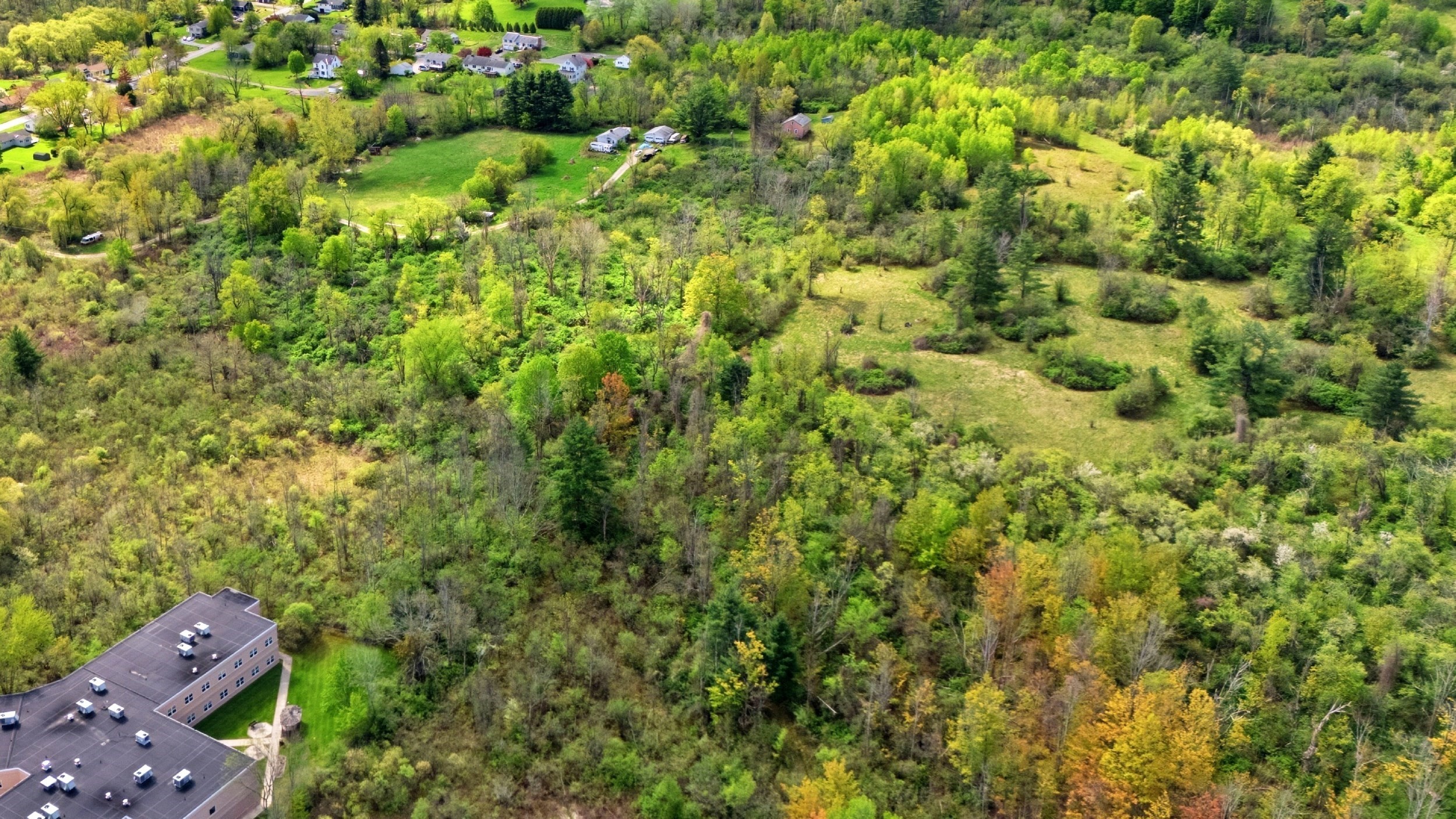 97 Luce Rd Property Photo 23