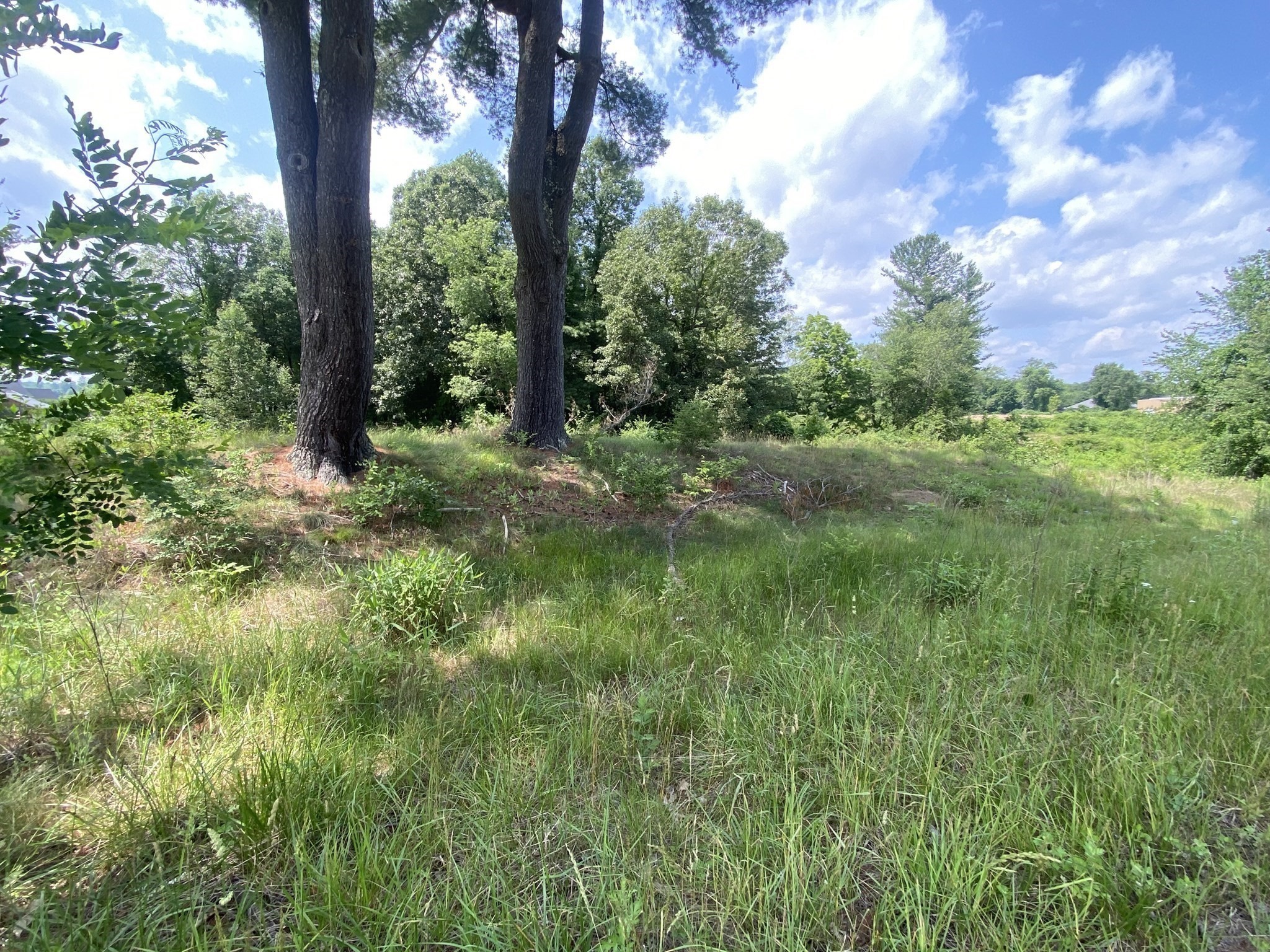 Lot 761 College Highway Property Photo 1
