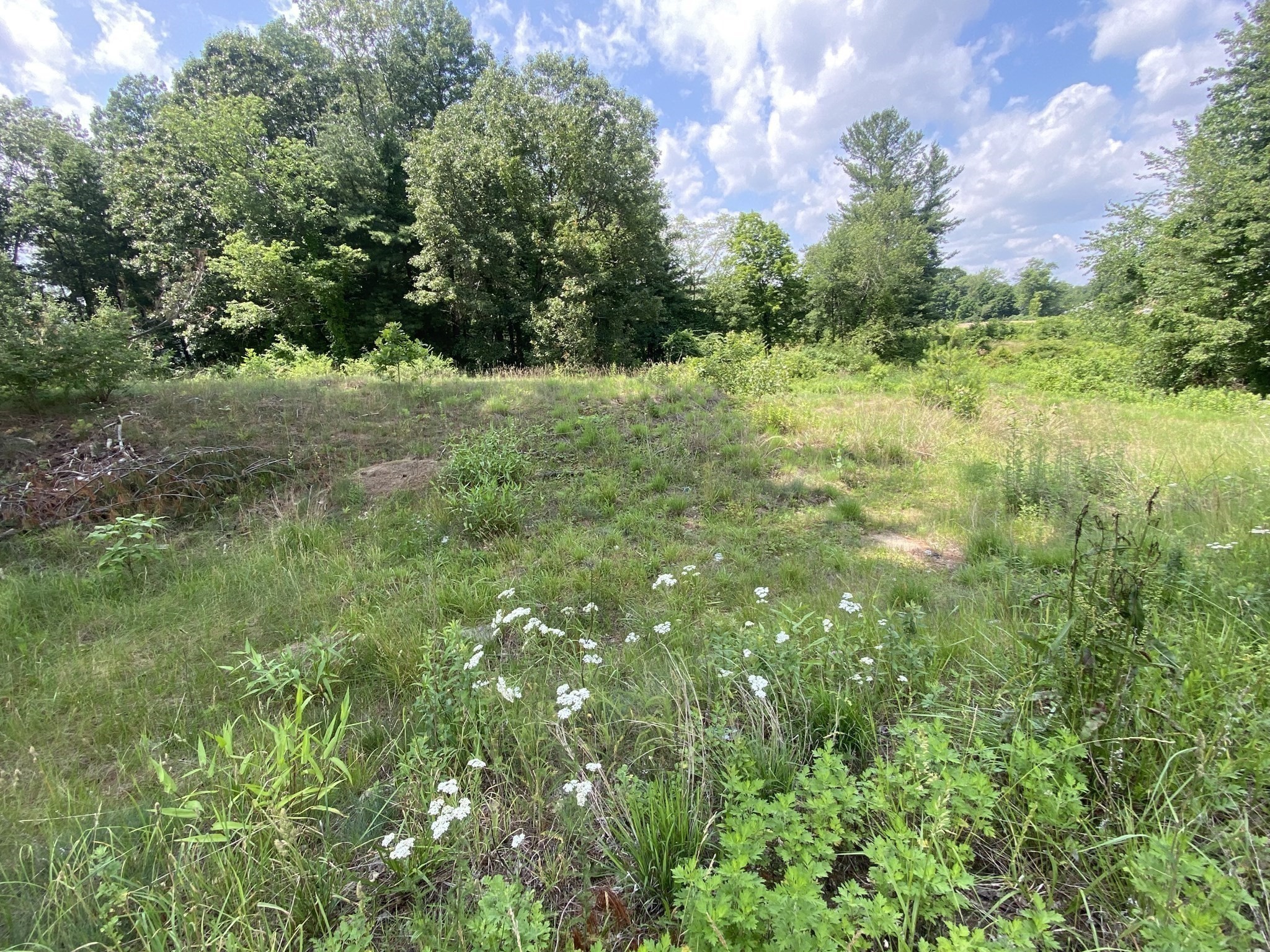 Lot 761 College Highway Property Photo 3