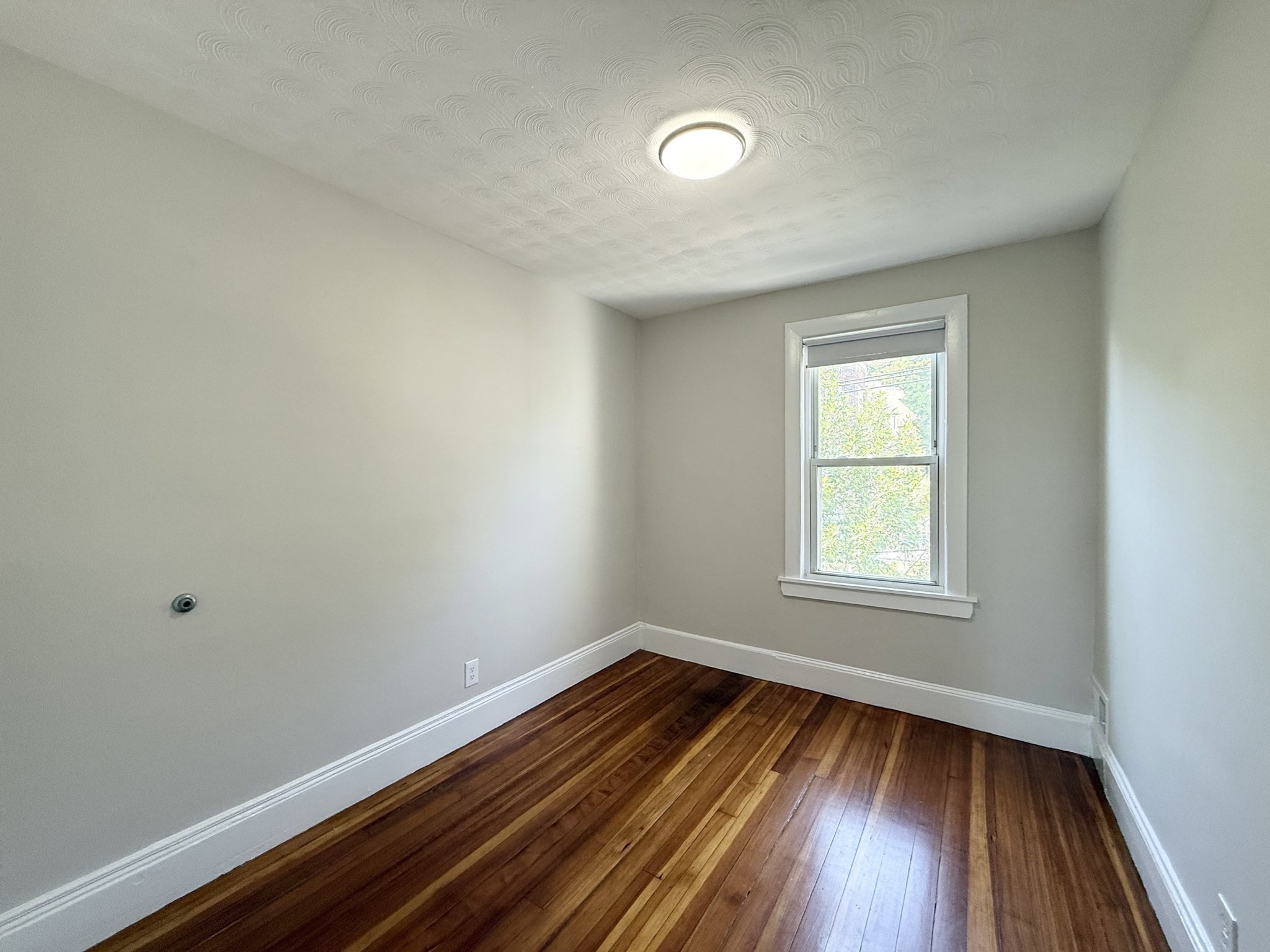 73 Campbell Avenue # 5 Property Photo 14