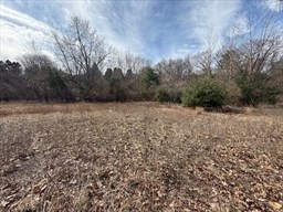 0 Pleasant Street Property Photo 3