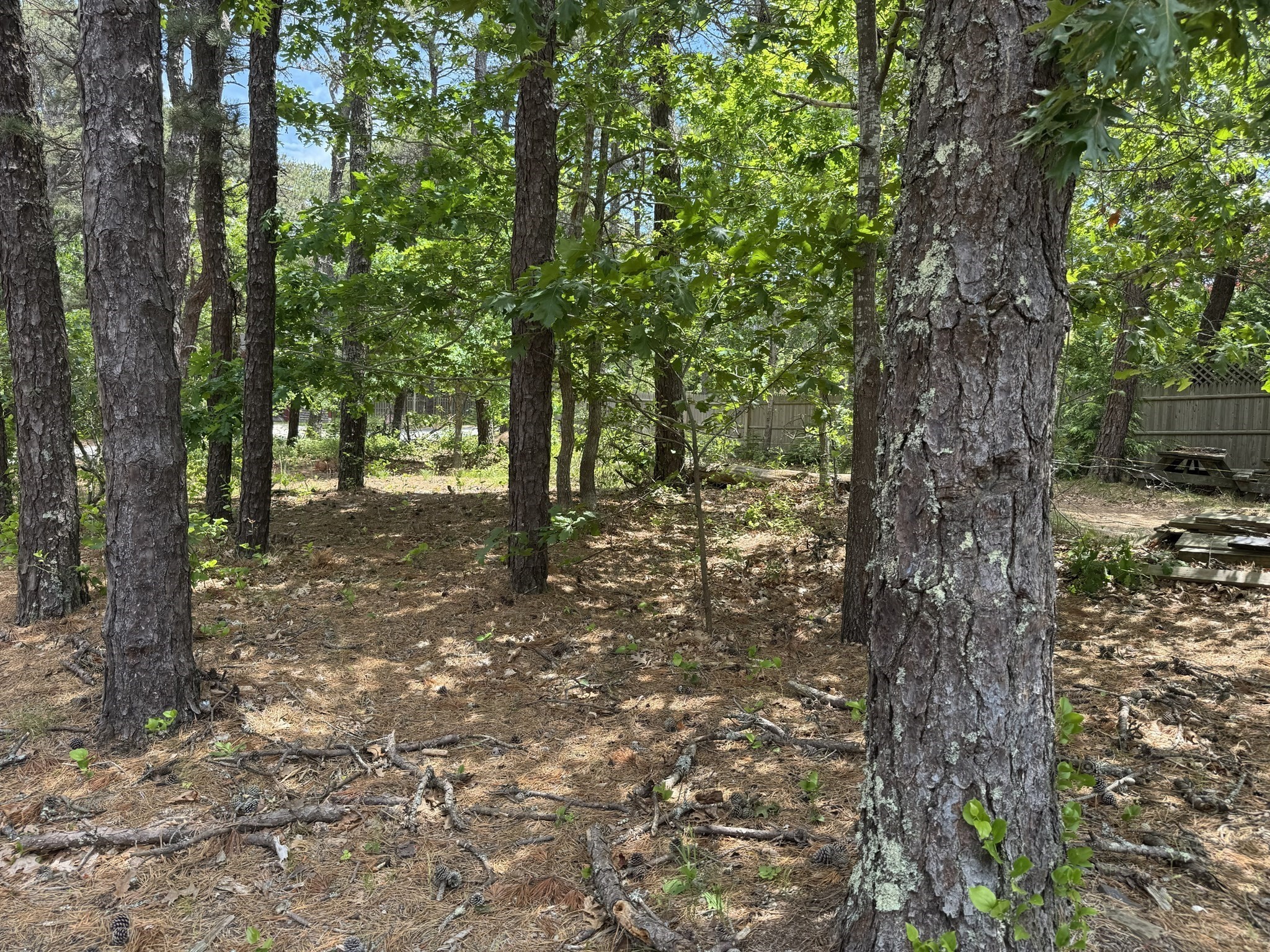 531 Old King's Highway Property Photo 7