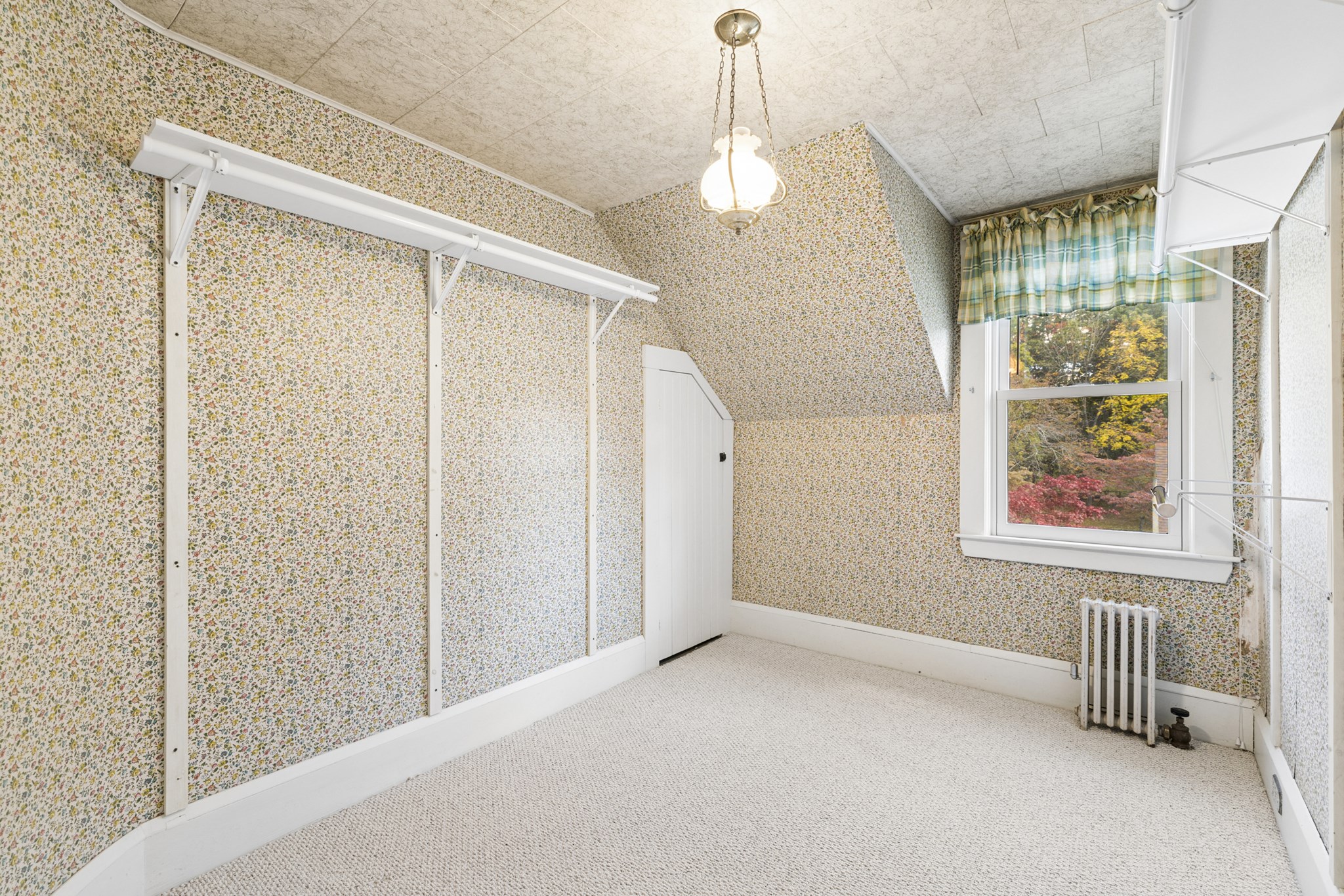14 Naylor St Property Photo 8