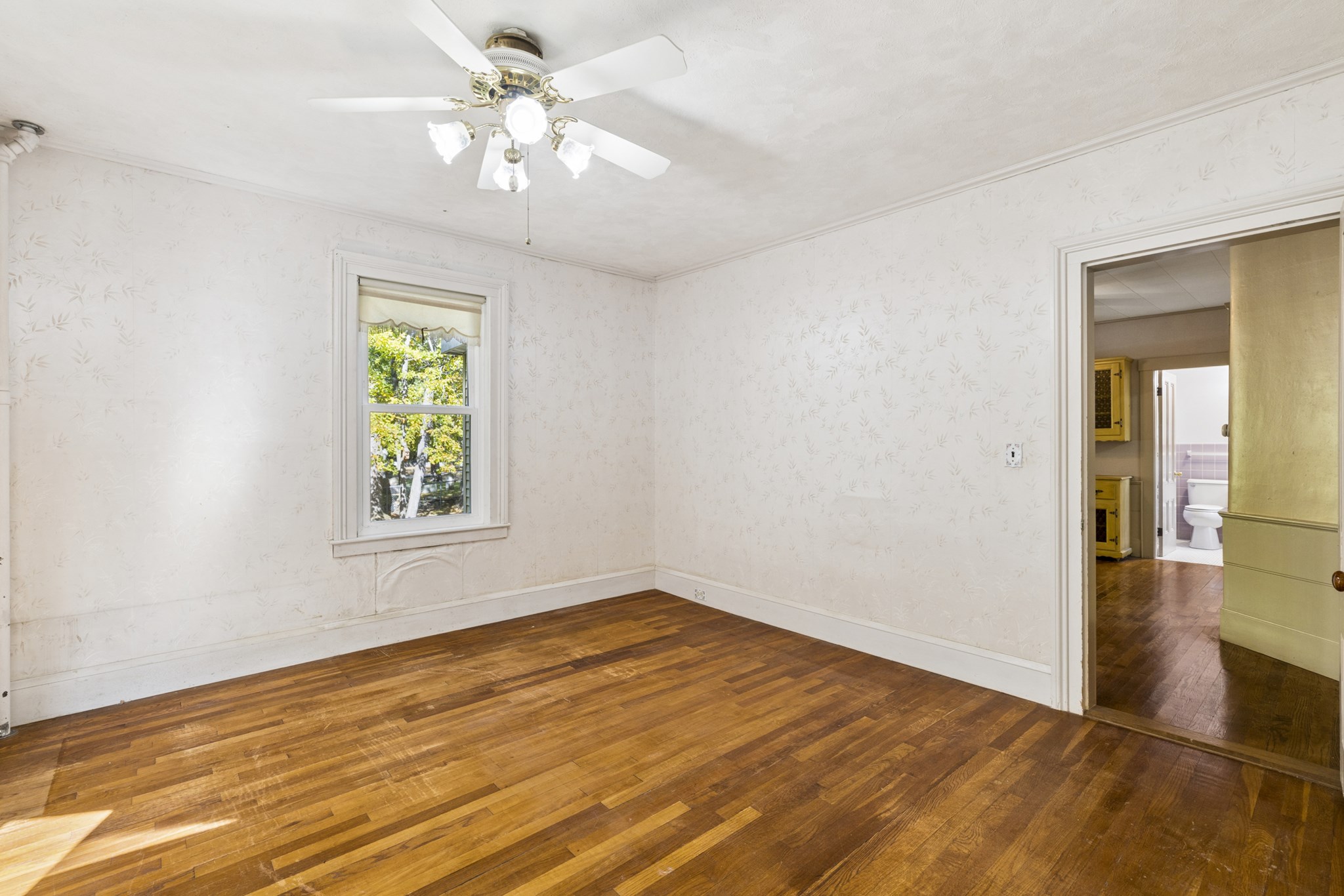 14 Naylor St Property Photo 11