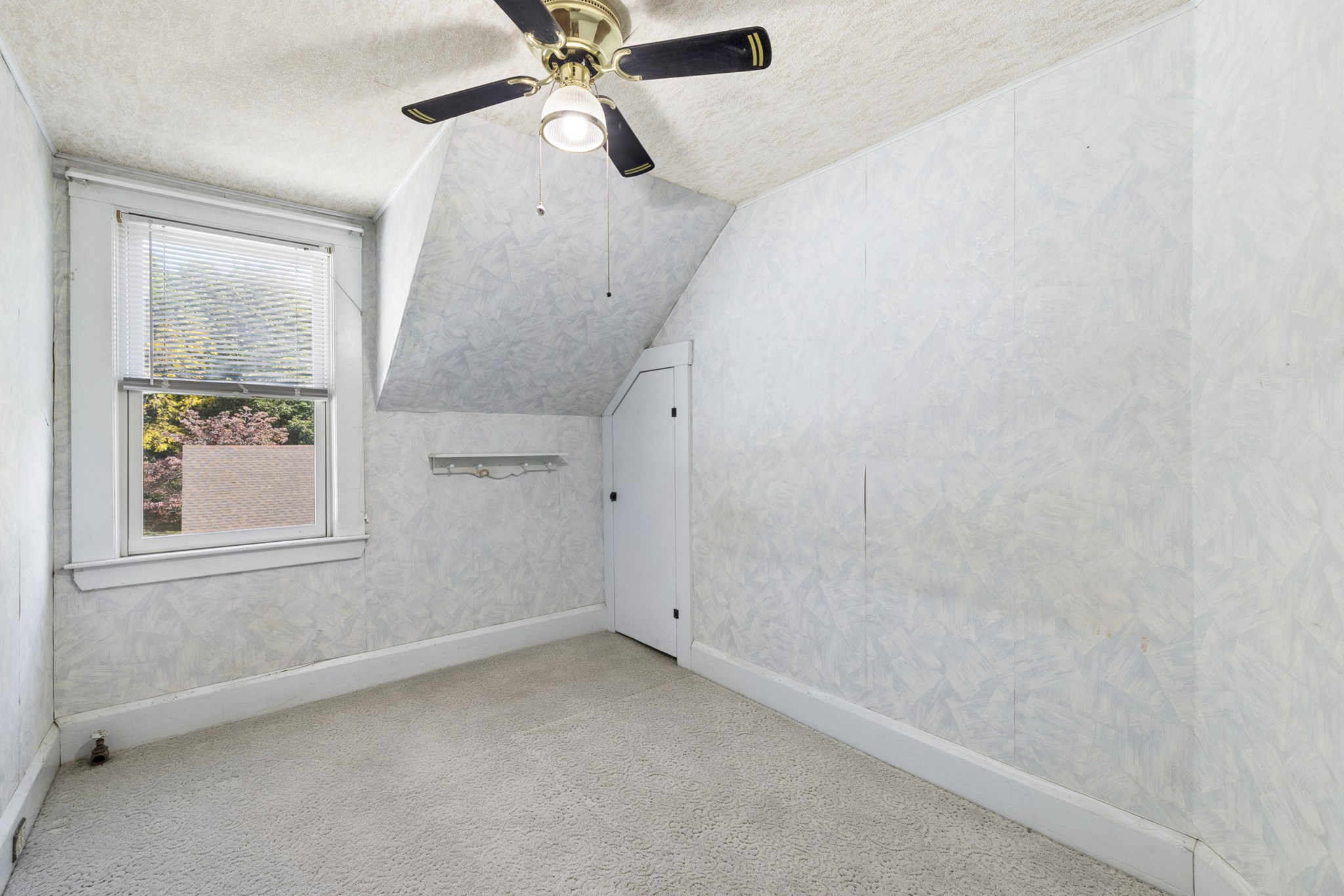 14 Naylor St Property Photo 33