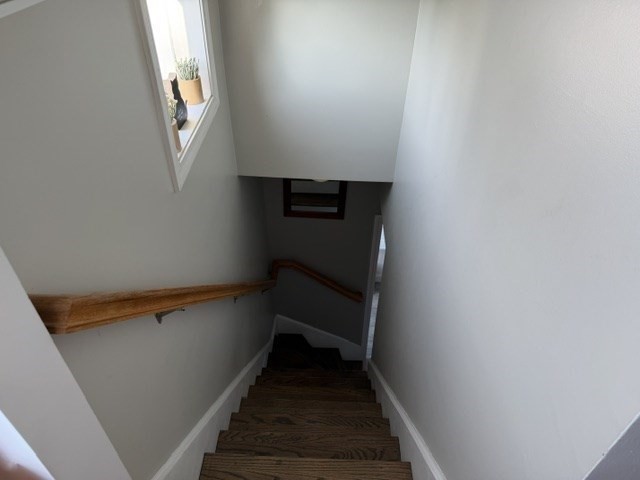 245 Clifford St Property Photo 15