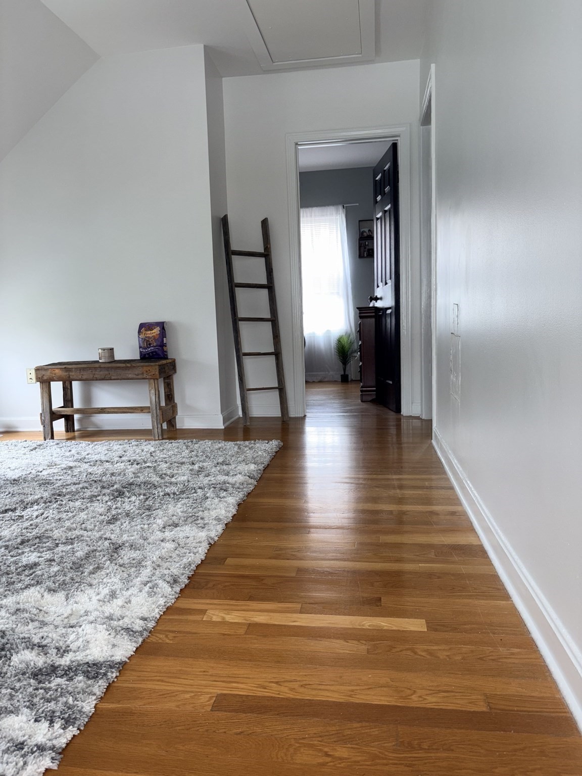245 Clifford St Property Photo 17