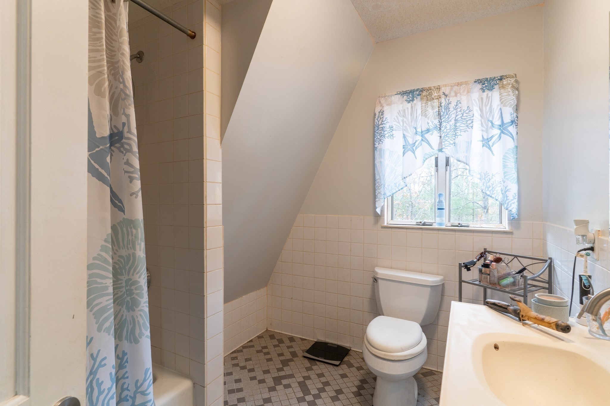 68 Lyon Rd Property Photo 13