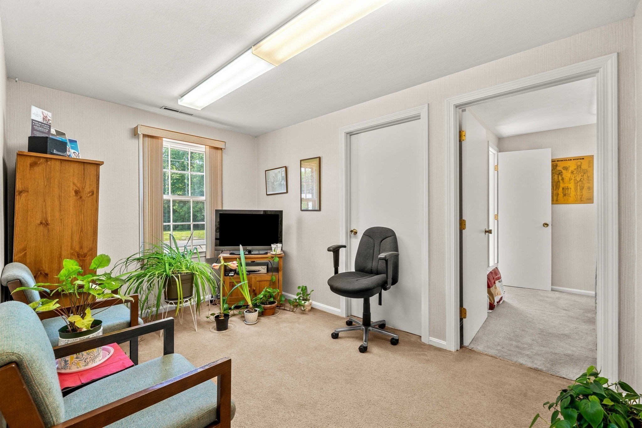 125 Ipswich Rd Property Photo 8