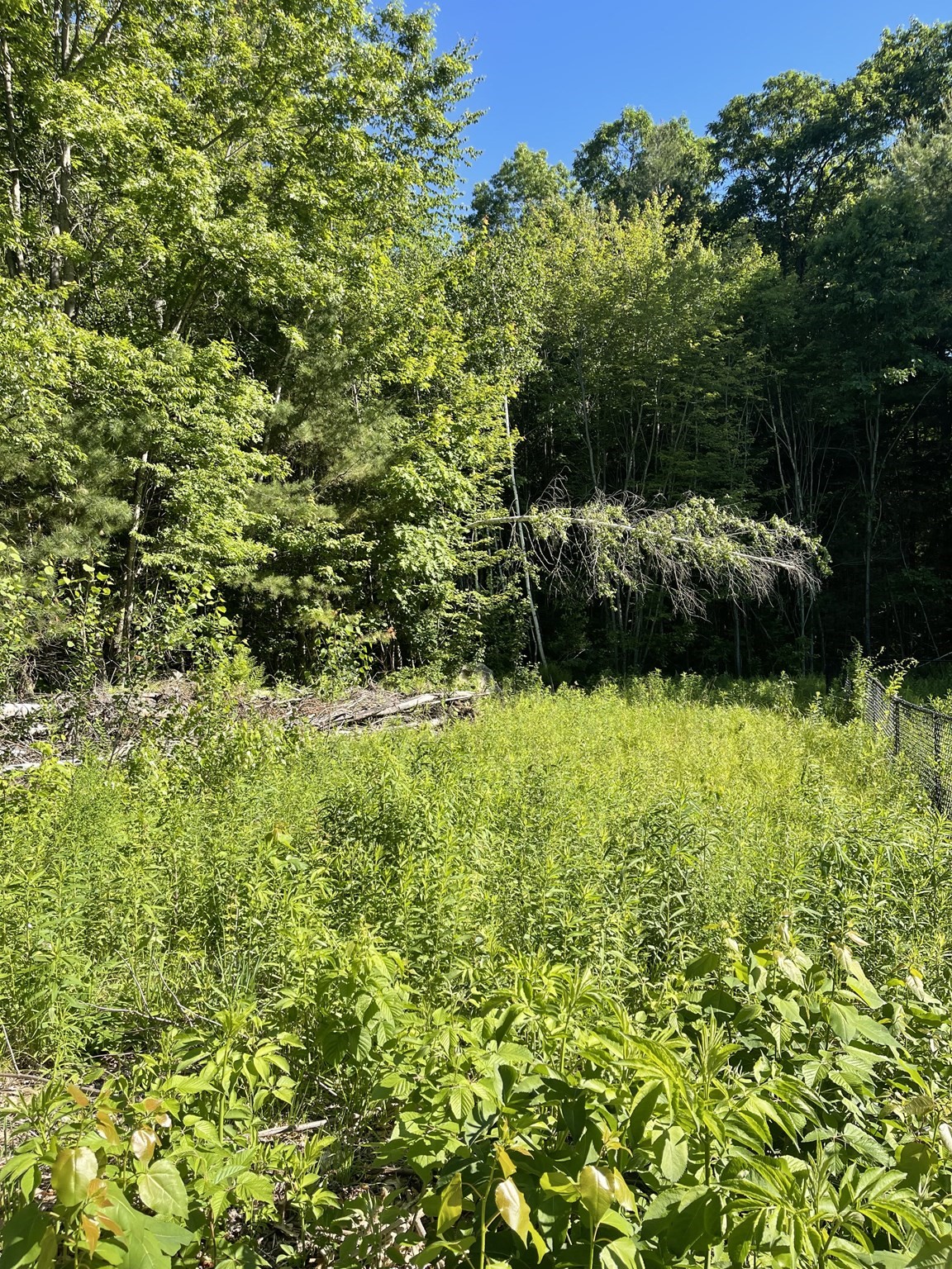 Lot D-2 Jason's Way Property Photo 1