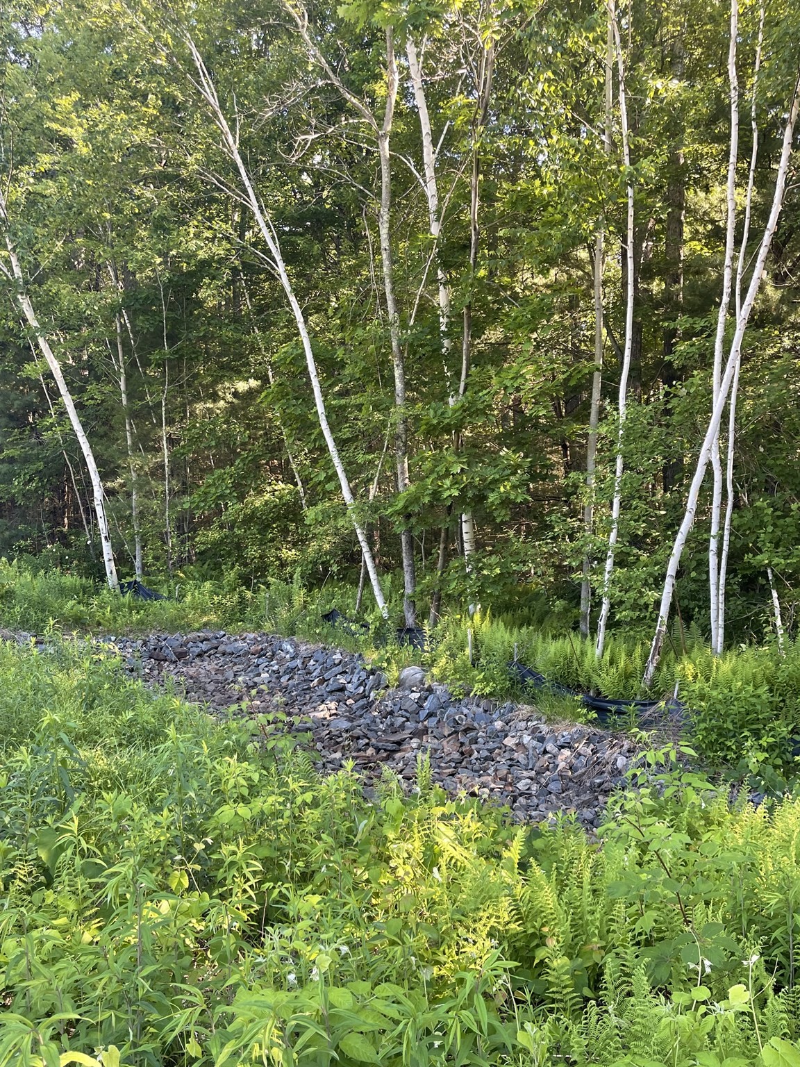 Lot D-2 Jason's Way Property Photo 2